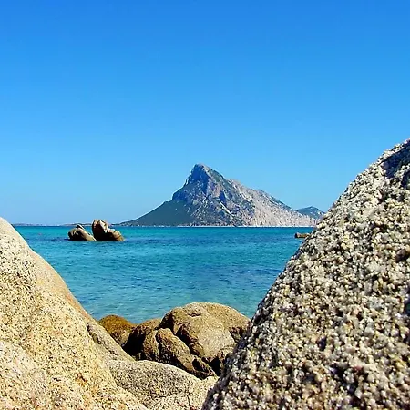 Charming House With Terrace & Garden - Loiri Porto San Paolo Tatil Evi Monte Petrosu