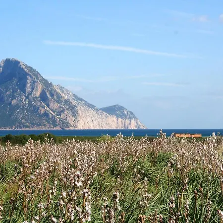 Charming House With Terrace & Garden - Loiri Porto San Paolo Tatil Evi *