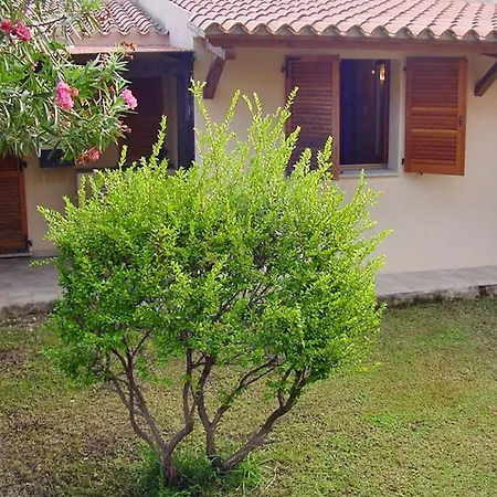Дом отдыха Charming House With Terrace & Garden - Loiri Porto San Paolo *