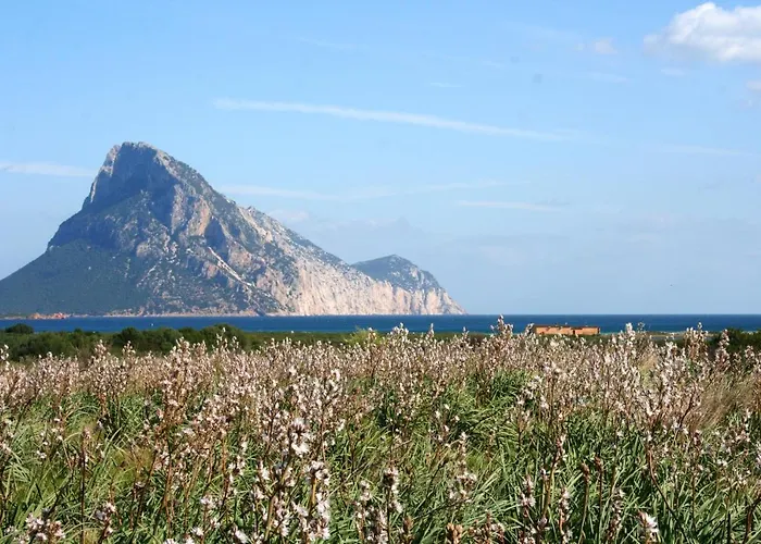 Charming House With Terrace & Garden - Loiri Porto San Paolo Nyaraló *